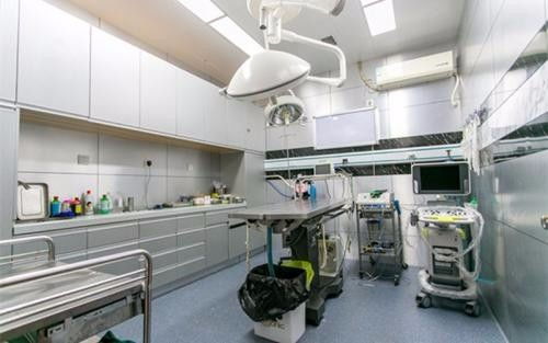 深圳市罗湖区水库周边夜间宠物急诊服务指南