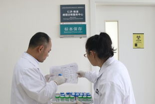 宝山推出一站式诊疗服务，筑牢食品药品安全“生命线”